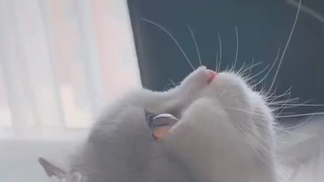 这个时间就是。。。。。