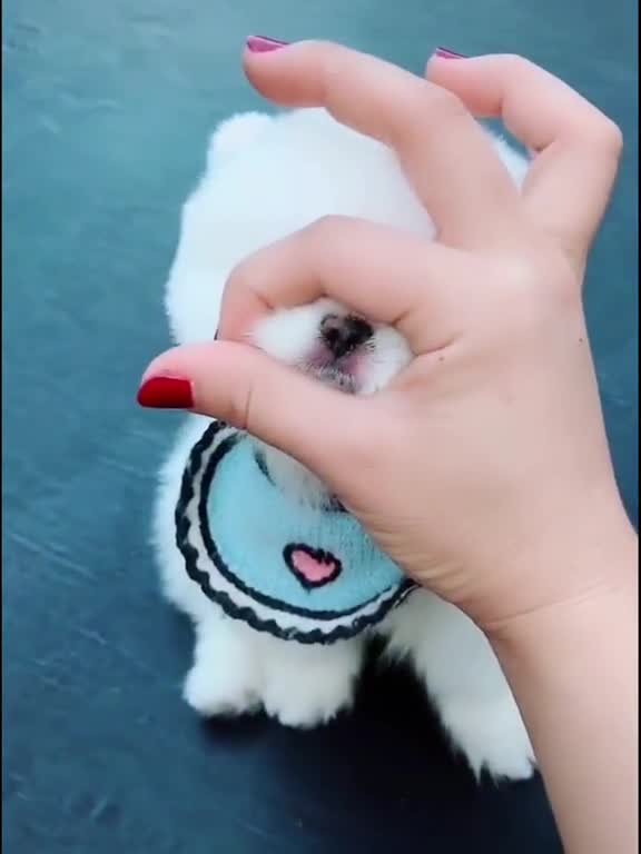 This would be better if it wasn’t in reverse