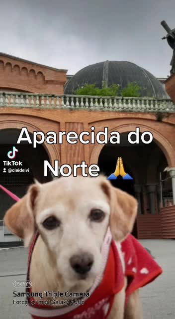 ❤️Basilica of Aparecida do Norte. #Brazil