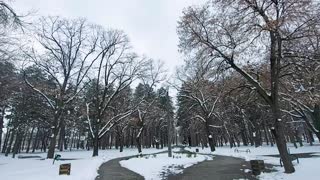 Dazzling snow in March