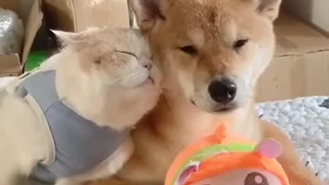 become a friendship