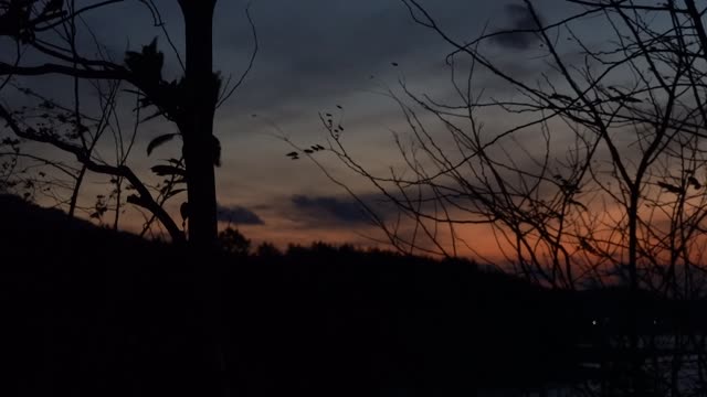 Sunset, sky, sea and trees 3