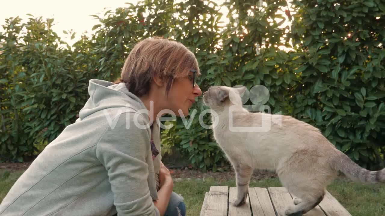 Cat Playing With Woman