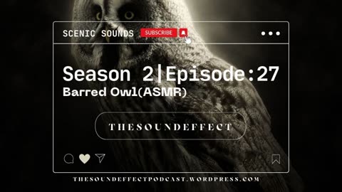 Scenic Sounds | Season 2: Episode: 27 | Barred Owl (ASMR)