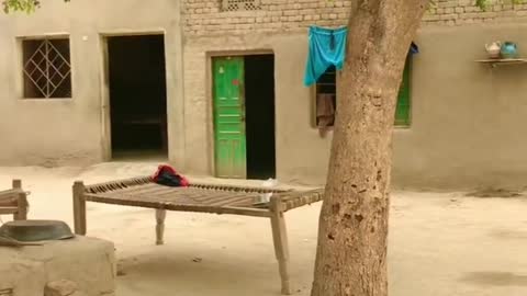 Village View