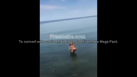 funny video