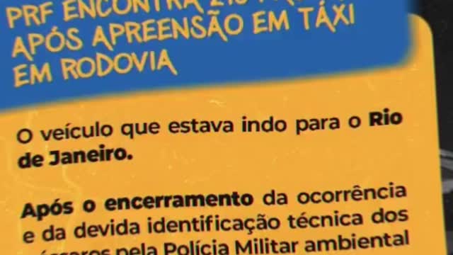 A Saga Do Governo Bolsonaro 24° Episódio