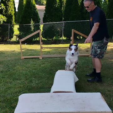 Platform Balance Beam Hurdle ruff cut podcast 2