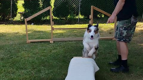 Platform Balance Beam Hurdle ruff cut podcast 2