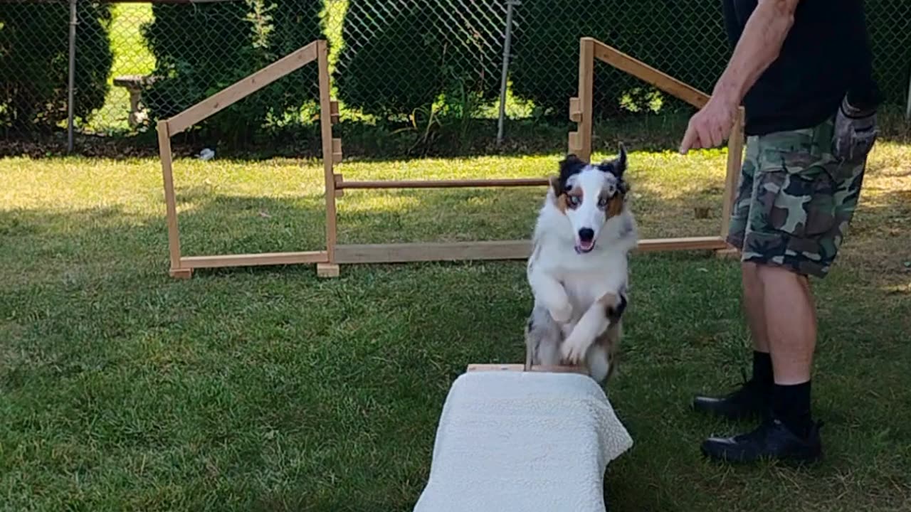 Platform Balance Beam Hurdle ruff cut podcast 2