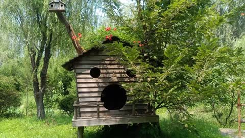 There's a smiling face on this little house