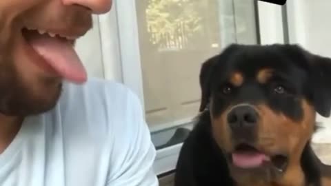 Funny 😛 dog video