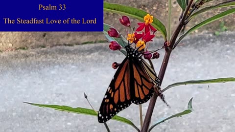 Psalm 33 - ESV Audio