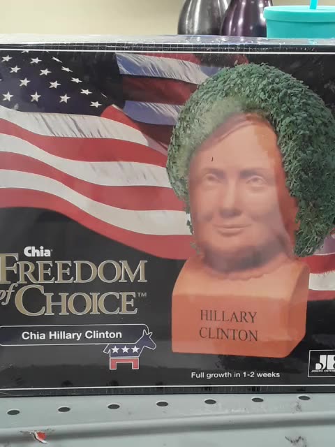 Hillary's Bush