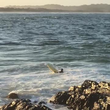 Man surfs with three other people as beached whale