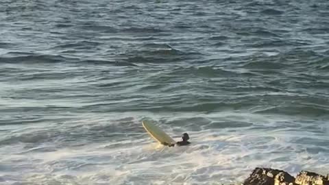 Man surfs with three other people as beached whale