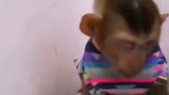 Funny monkey like adorable baby