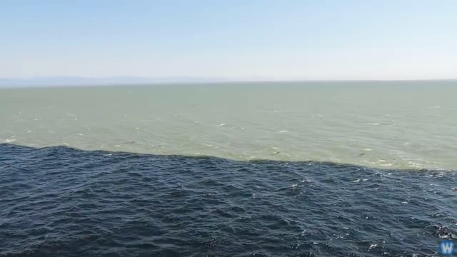 Fresh Water Meets Sea Water – Boundary Explained