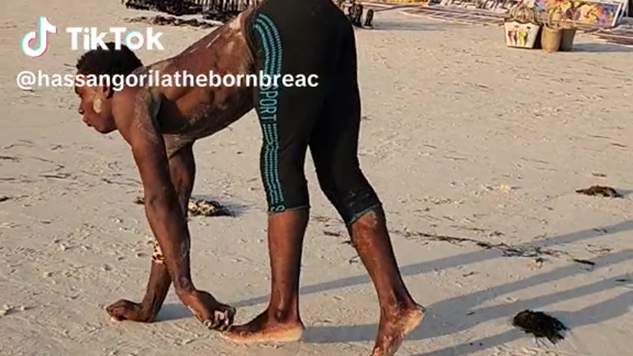 funney video show