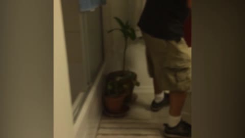 Prank Goes Wrong When Man Runs Through Glass Door