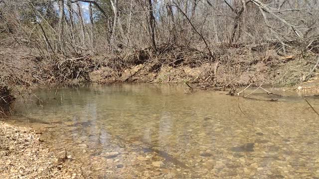 At The Creek