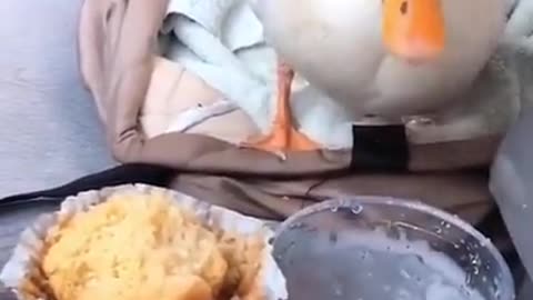 Early Breakfast