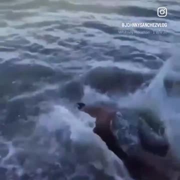 Video of the day. 🤣