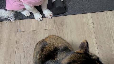 The two have been close since they were babies.