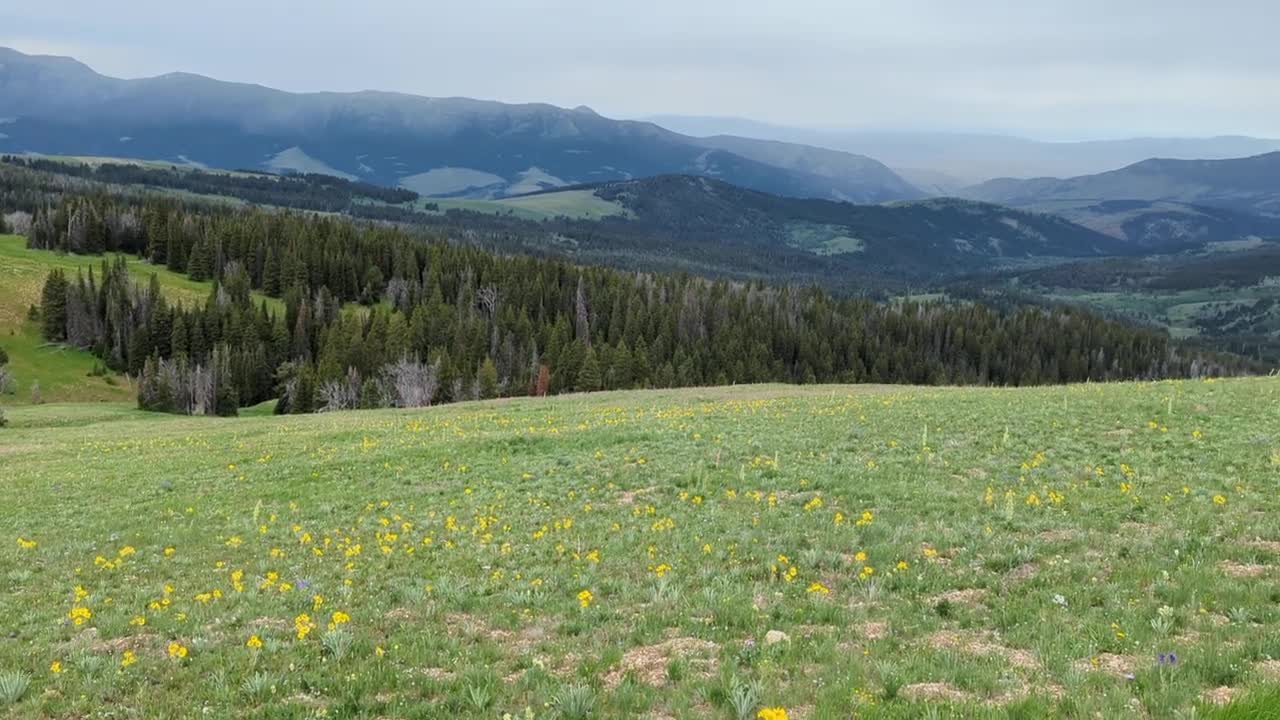 Montana Shorts- Monument Ridge