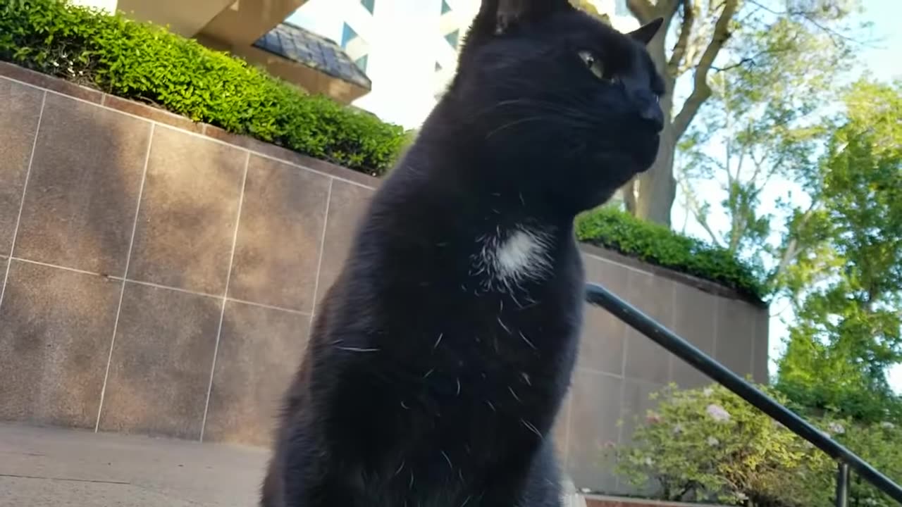 20240422 072800 Tux Crunching