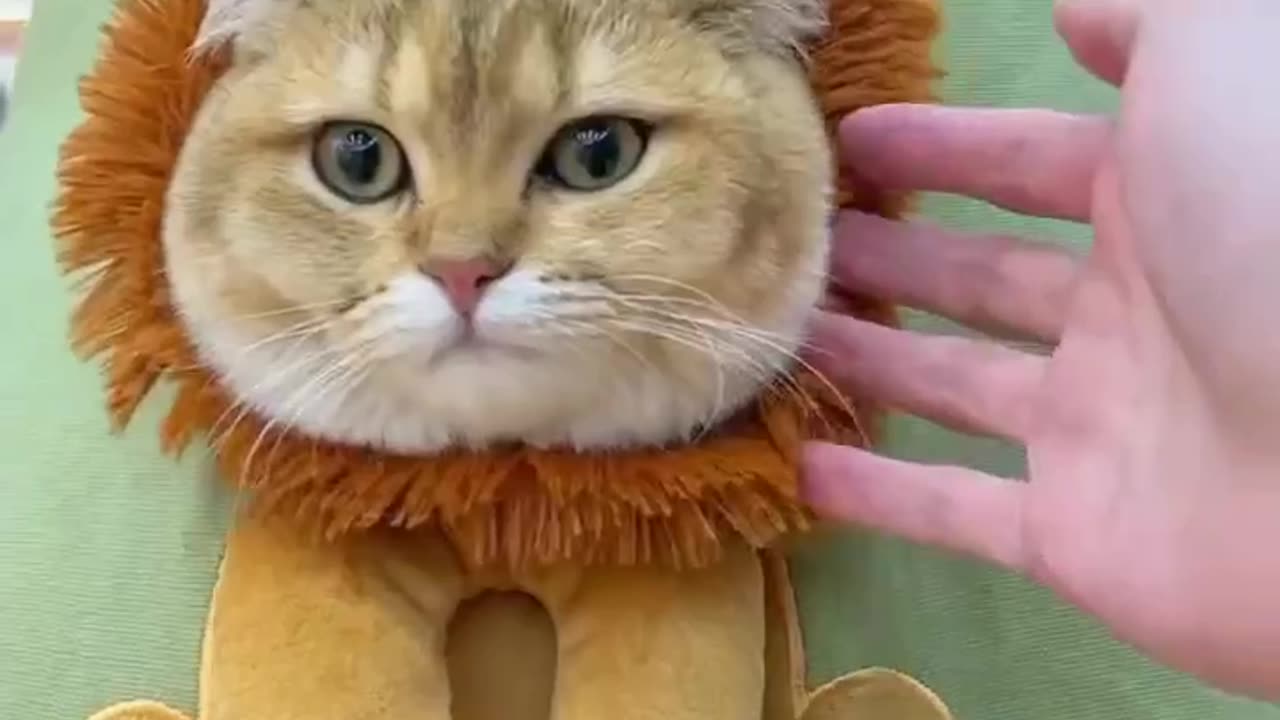 TRY NOT TO LAUGH 😆 Best Funny Videos Compilation 😂😁😆