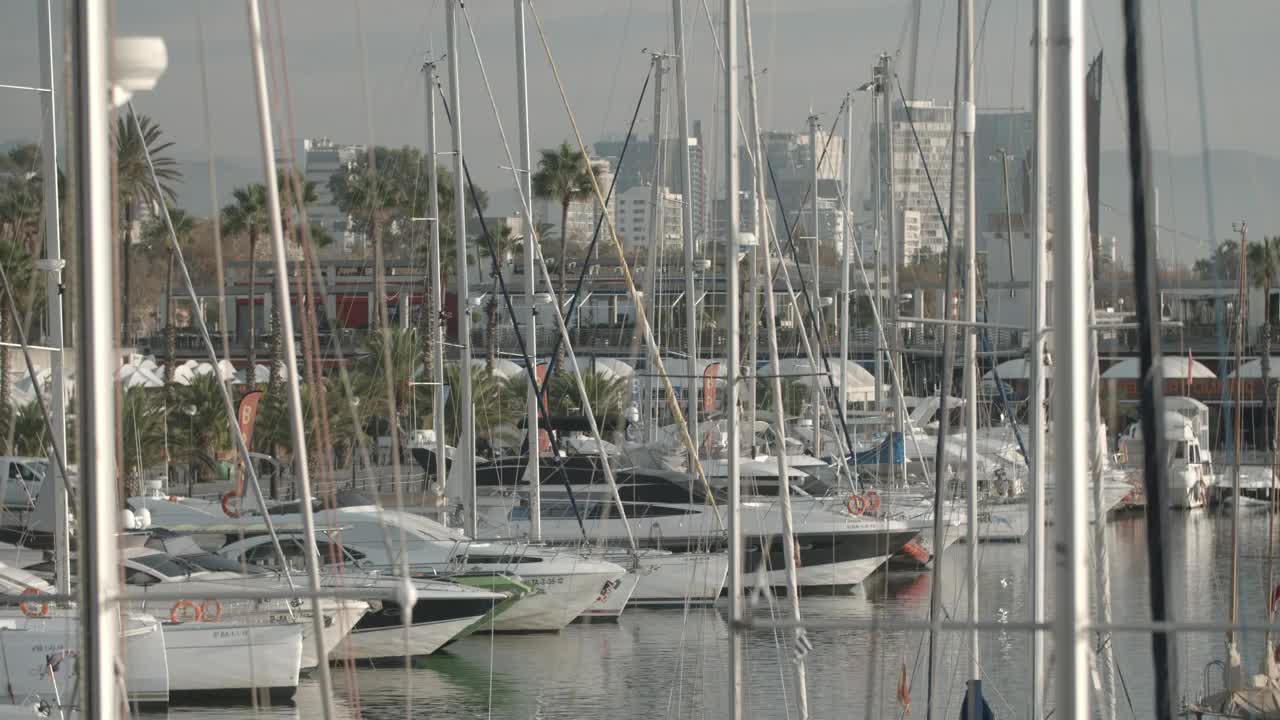 Coast covered by masts, boats and small yachts