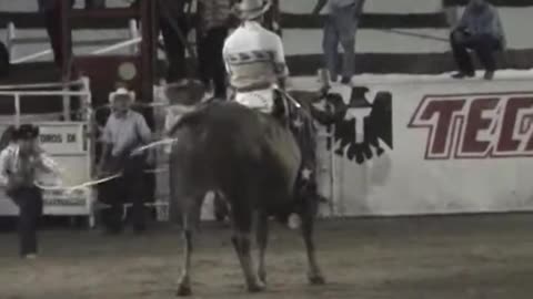 La Incontenible Banda Astilleros - Las Cabronas (Las Mejores Montas De Toros)