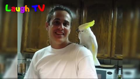 Funny Parrot - A Cute Funny Parrots Talking Videos Compilation --NEW HDp9