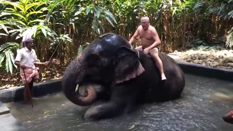 Kids playing with animals