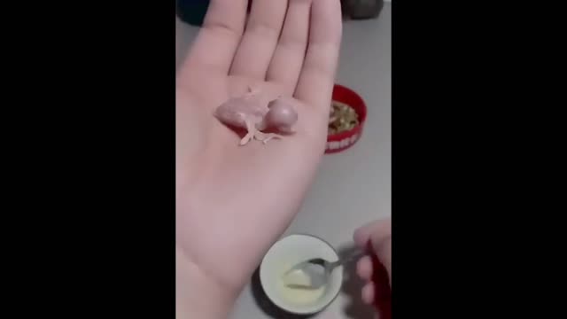 The little baby bird grow himself part 2
