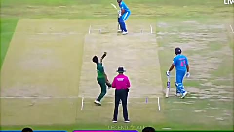 Superb Bowling