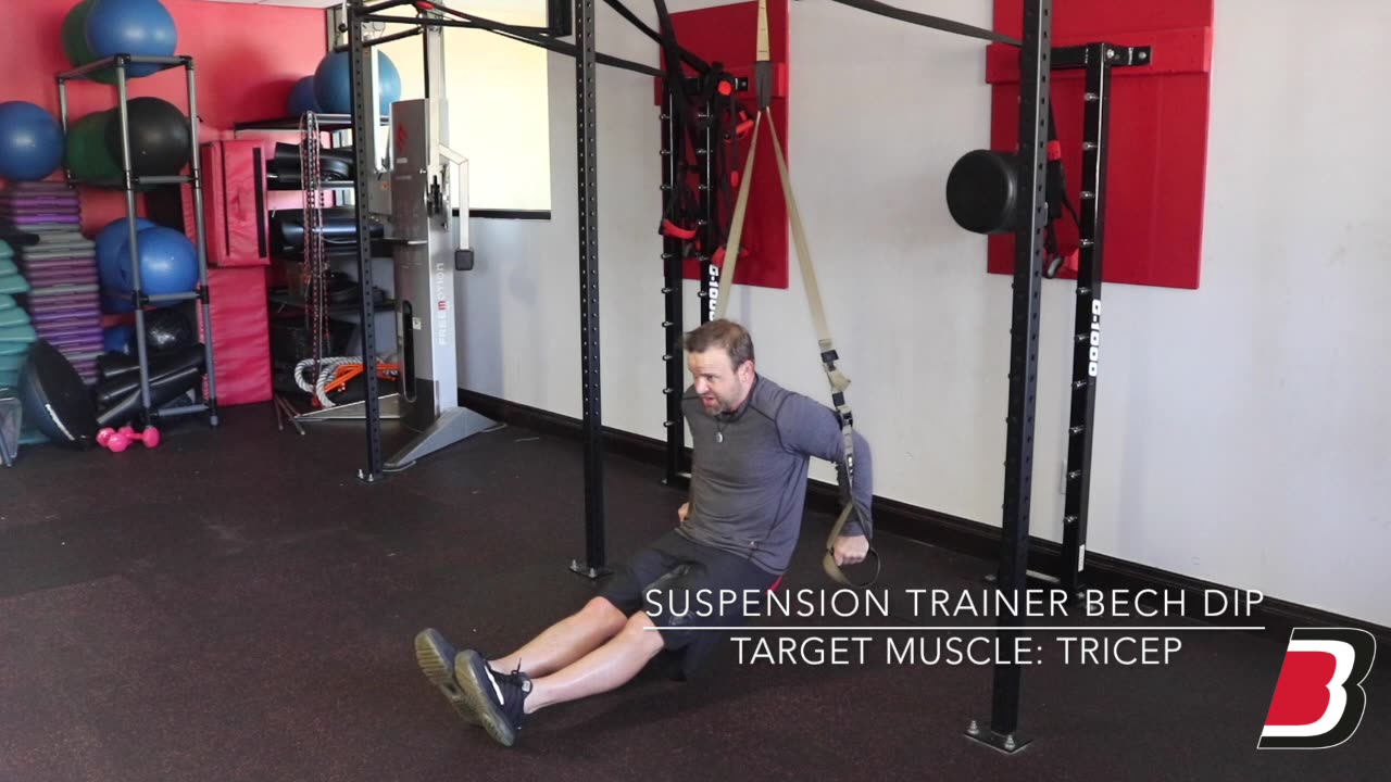 Suspension Trainer Bench Dip