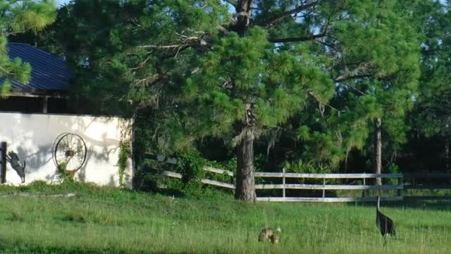 And The Baby Makes 3