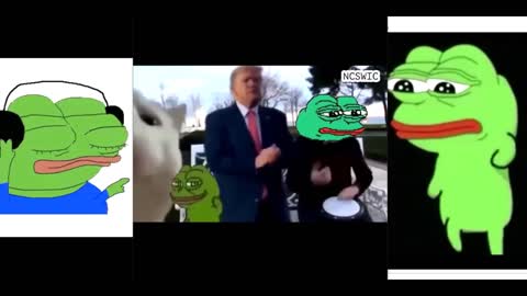 MAGA Meme Heal
