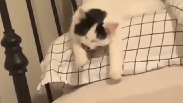 Good Morning 🌞🌞🌞😘Bae 😘😘