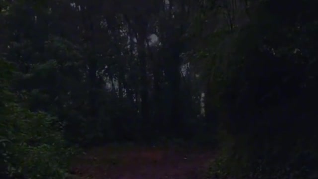 ttracted by this mysterious atmosphere, both fearful and longing for the secrets of the