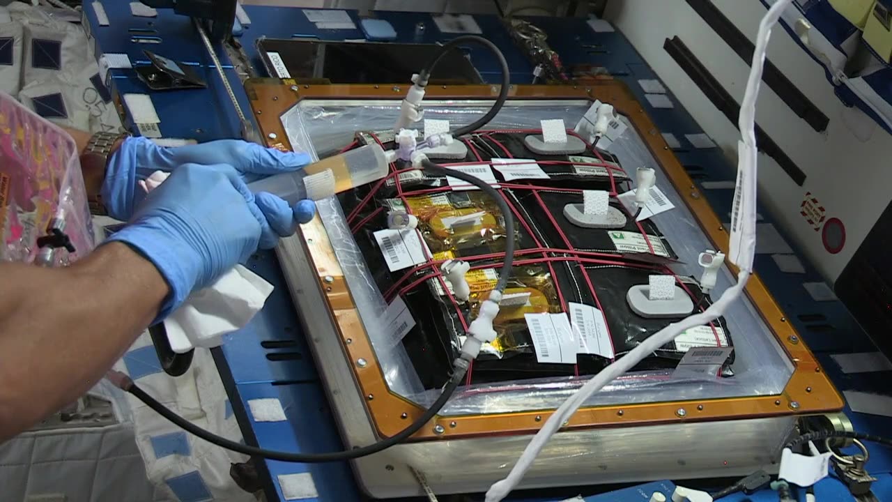 ISS Downlink Video: Acaba VEG-03 Experiment - Veggie