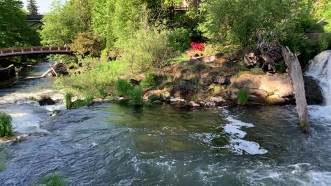 Tumwater Falls, on the Deschutes River in Olympia, Washington