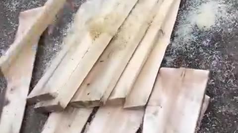 Check out this efficient wood-chopping machinery!