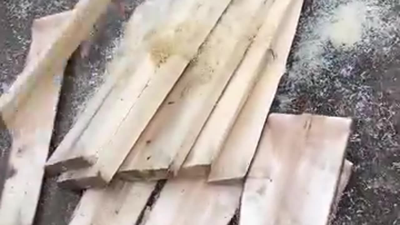 Check out this efficient wood-chopping machinery!