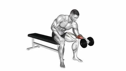 Arms Excercises