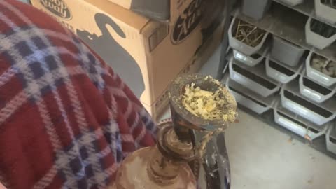 Day 177 pt2 I had to blow my nose lol