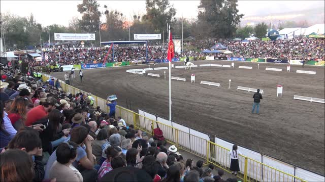 Presentation School of Equestrian Art of Chile