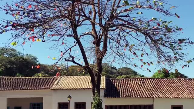 Cidade de Goiás, Brazil.